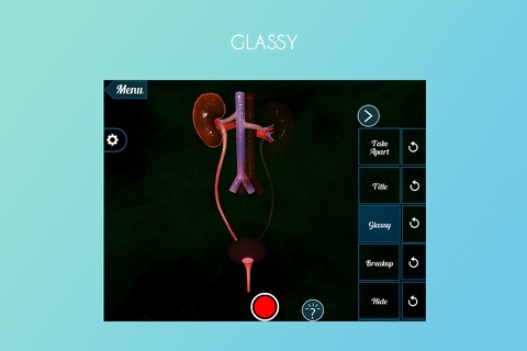 Human Excretory System 3D screenshot 4