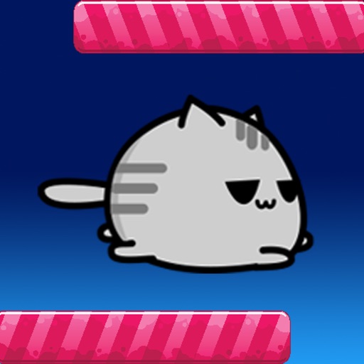 Gravity-Cat Icon