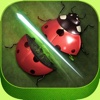 Amazing Bug Slicer Ninja: Bonsai War Heroes Pro