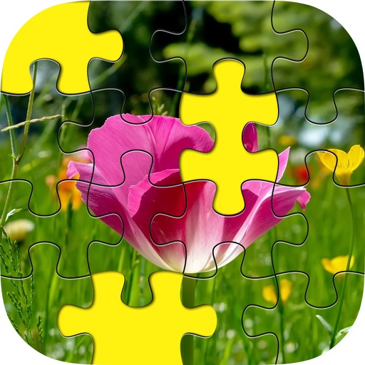 free daily jigsaw puzzle