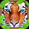 PREDATOR Tiger Simulator 2016