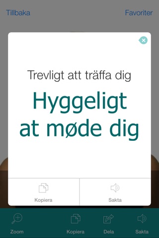 Danish Pretati - Translate, Learn and Speak Danish with Video Phrasebook screenshot 3