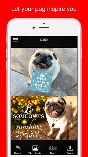 Pug Chalk Sticker Photo Editor