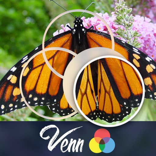 Venn Butterflies: Overlapping Jigsaw Puzzles