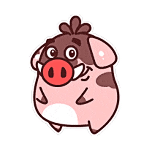 Cute Fat Boar