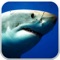 Angry Great Shark Evolution Underwater Pro - 2016 Jaws Sharks Attack Adventure Games Free