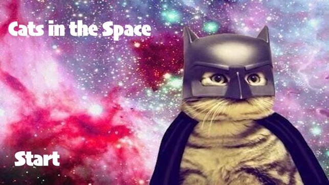 Cats in the Space