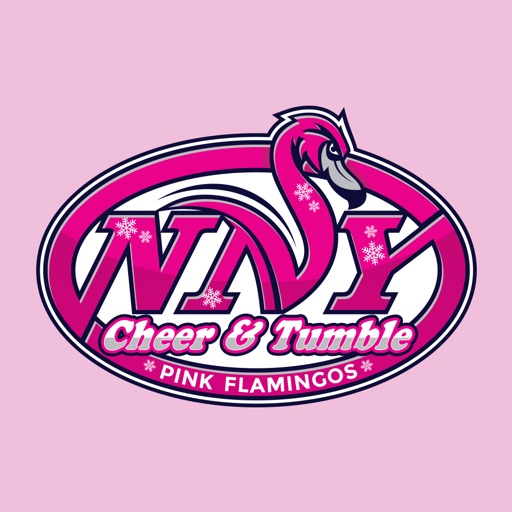 NNY Cheer & Tumble icon