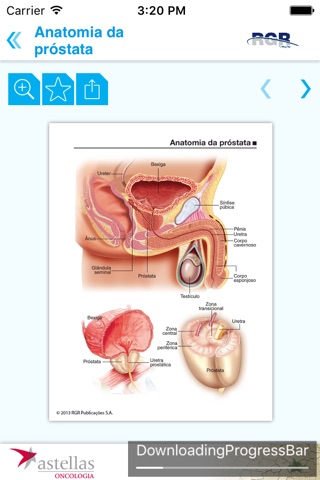 Atlas Câncer de Próstata screenshot 4