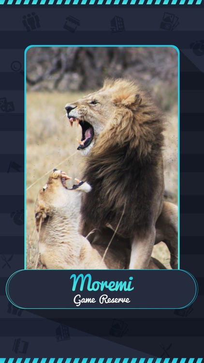 Moremi Game Reserve Travel Guide