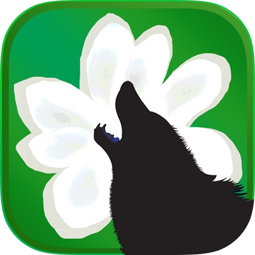 the Mojave Magnolia and the Wolf
