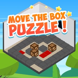 Move The Box Puzzle