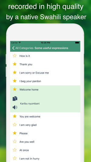 Speak Swahili - Learn Swahili Phrase & Words(圖2)-速報App