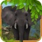 Wild Stray Big Elephant Simulator Unlimited 3D