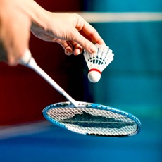 Activities of Badminton Super Smash Challenges
