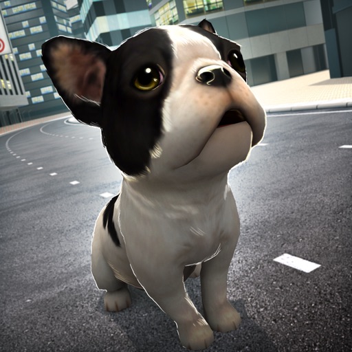 Puppy John's | Dog Runner Simulator Games Pro Icon