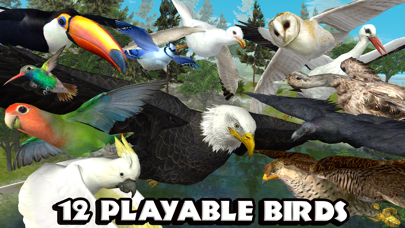How to cancel & delete Ultimate Bird Simulator from iphone & ipad 3