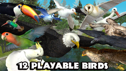 Ultimate Bird Simulator screenshot1