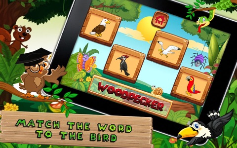 Which Bird - Kids e-Learning screenshot 2