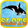 Funny Dolphin Poker Slot Machine