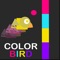 Explore the color world with flappy color bird