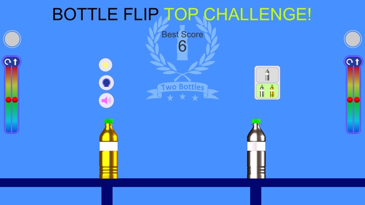 Bottle Flip TOP Challenge!