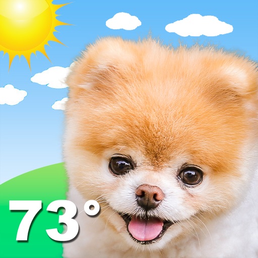 Boo Weather