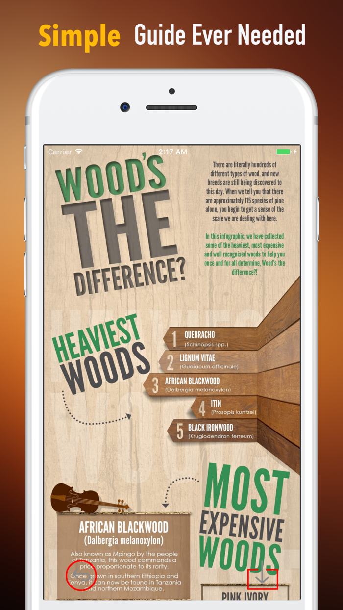 木工知识百科-自学指南、视频教程和技巧