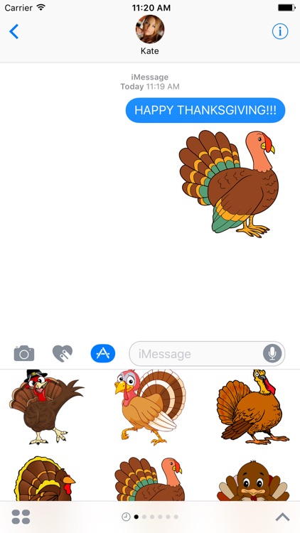 Turkey - Thanksgiving stickers