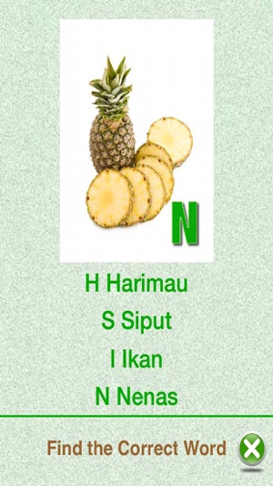 Flashcards Malay Lesson(圖3)-速報App