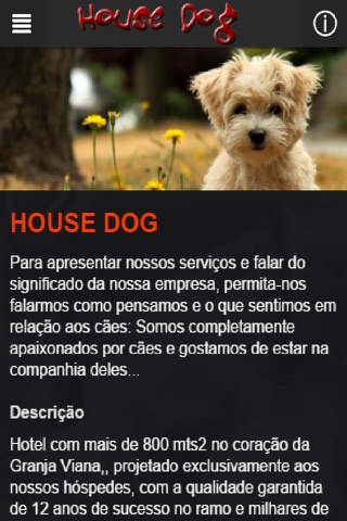 HOUSE DOG screenshot 2