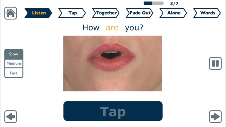 Apraxia Therapy Lite - with VAST video for aphasia