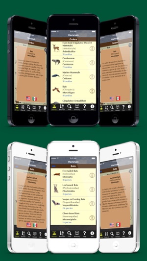 Texas Mammals - Guide to Common Species(圖4)-速報App