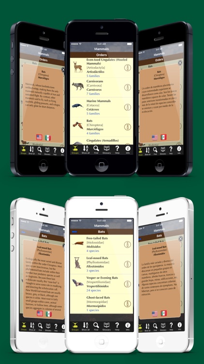 Texas Mammals - Guide to Common Species screenshot-3