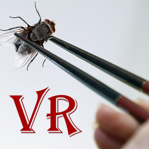 VR FlyMaster VR FlyMaster