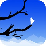 SkyFall Dove Edition