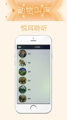 Game screenshot 动物园里的动物叫声-专供儿童节日快乐 apk