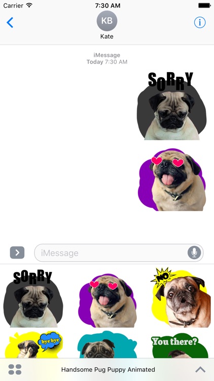 Handsome Pug Puppy Animated
