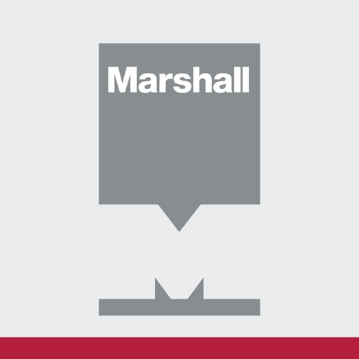 Marshall Cosmetic Repair