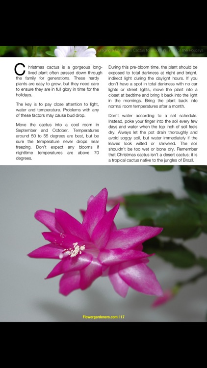 Flower Gardeners Magazine screenshot-4