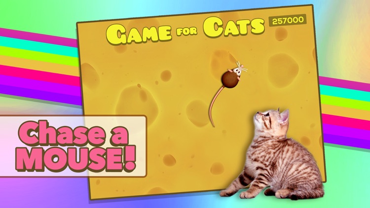 Game for Cats