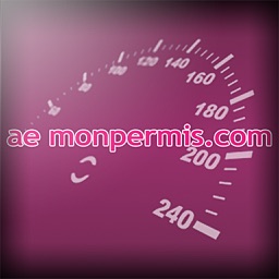 Aemonpermis.com