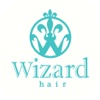 Wizard hair