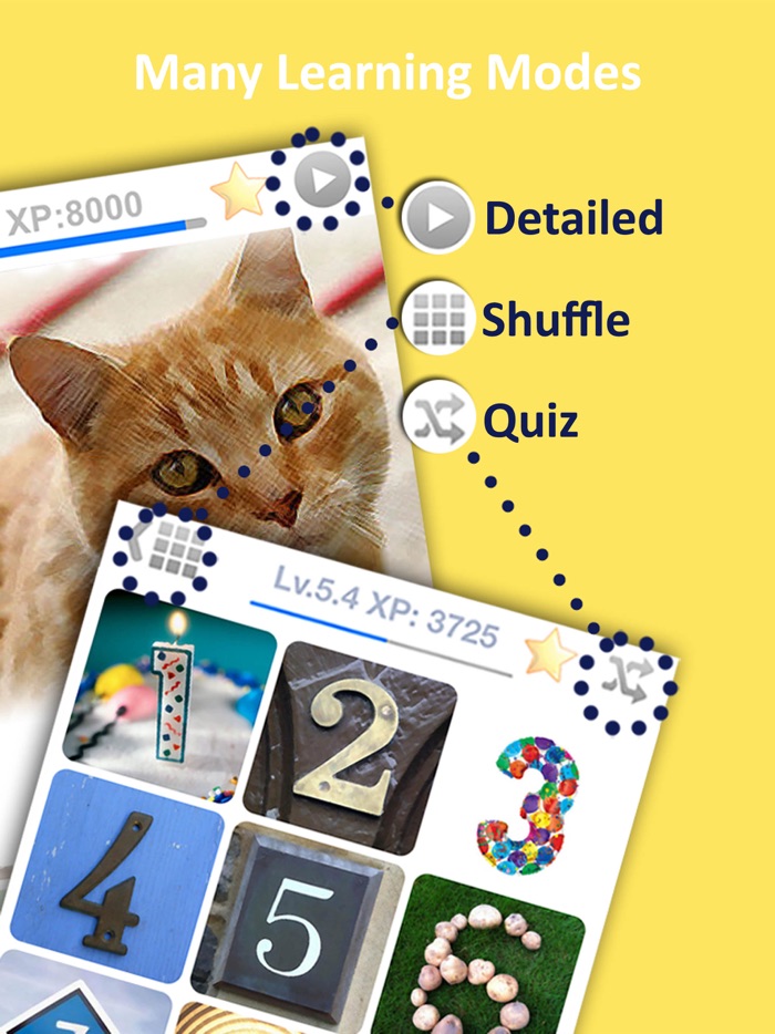 LETS Travel Slovakia Slovak Phrase Guide Book