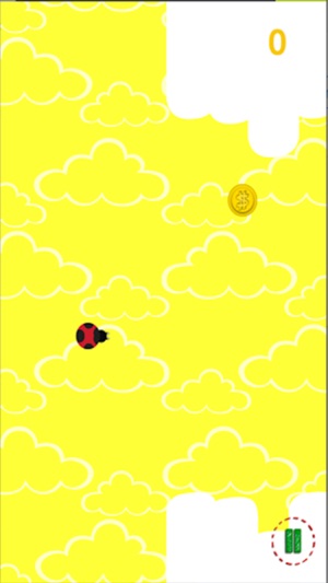 Ladybird in the Clouds