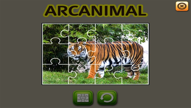 ARCANIMAL - ARC ANIMAL screenshot-3