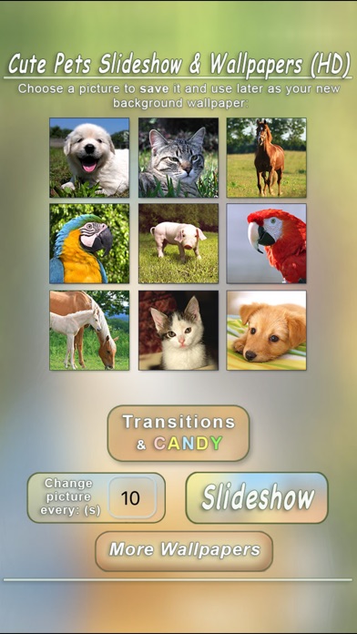 CUTE PETS SLIDESHOW & WALLPAPERS (HD) 1.5.2 IOS GAME GIẢI TRÍ CUTE PETS SLIDESHOW & WALLPAPERS (HD) 1.5.2 IOS