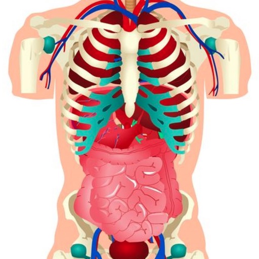 Human Body Info icon