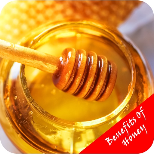 Benefits Of Honey icon