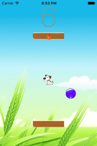 Dog Jumping screenshot 2